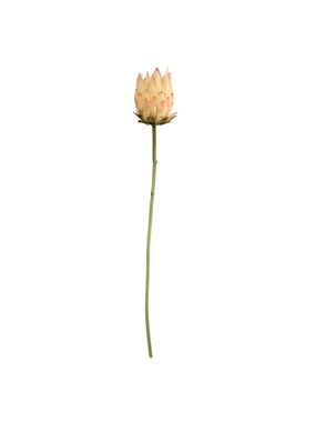 Artificial King Protea Stem Blush Pink Cream Faux Giant Protea Flower 25 Inch